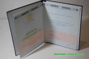 Купить диплом ИУП — Института управления и права в Магадане